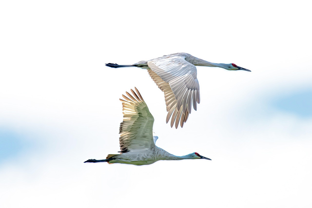Top 7 Cloud-Migration-Berater für KMU in Hamburg 2026